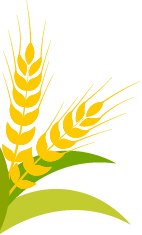 保定張振恒:我就是喜歡開(kāi)收割機(jī),新疆-9真不賴,動(dòng)力足、售后服務(wù)好(圖3) 保定張振恒:我就是喜歡開(kāi)收割機(jī),新疆-9真不賴,動(dòng)力足、售后服務(wù)好(圖3)
