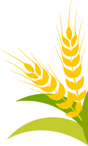 保定張振恒:我就是喜歡開(kāi)收割機(jī),新疆-9真不賴,動(dòng)力足、售后服務(wù)好(圖5) 保定張振恒:我就是喜歡開(kāi)收割機(jī),新疆-9真不賴,動(dòng)力足、售后服務(wù)好(圖5)