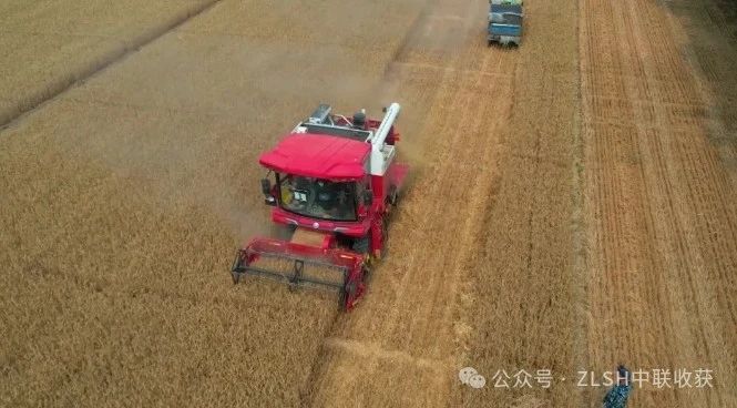 湖北棗陽劉師傅：高效、可靠、服務好，收獲機我只選中聯(lián)收獲(圖2)